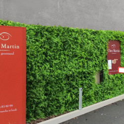 Mur Végétal Artificiel FOUGÈRE 1mx1m