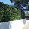 Feuillage Artificiel imitation PHOTINIA 1mx1m
