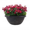 JARDINIERE FLEURS ROSES avec bac inclus