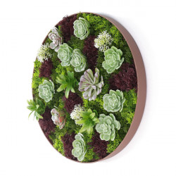 CADRE MURAL ROND PLANTES ARTIFICIELLES