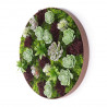CADRE MURAL ROND PLANTES ARTIFICIELLES