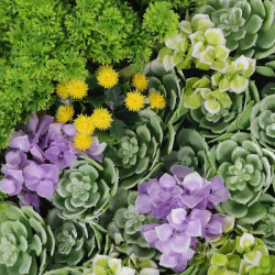 CADRE MURAL CARRE PLANTES ARTIFICIELLES