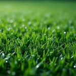 découvrez comment sélectionner un gazon synthétique offrant le meilleur rapport qualité-prix pour un jardin esthétique et durable sans compromis.